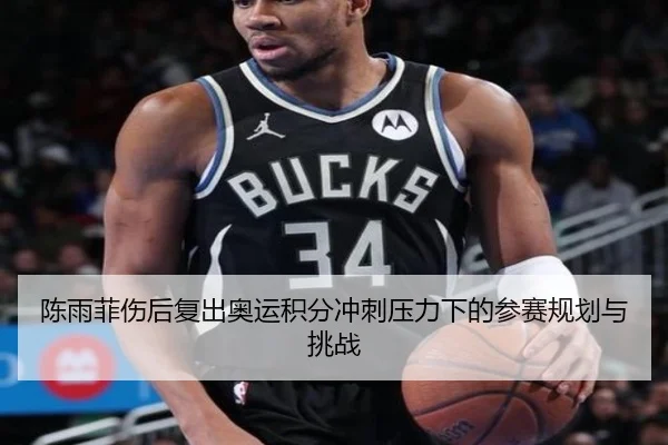陈雨菲伤后复出奥运积分冲刺压力下的参赛规划与挑战